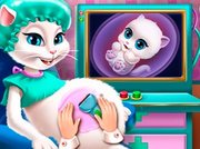 Kitty Pregnant Check-up