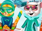 Cats Winter Fun