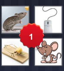 4 Pics 1 Word Online