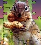 Real Jigsaw Puzzle