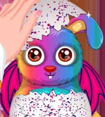 Pet Maker