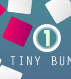 Tiny Bump
