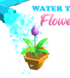 Water the Flower