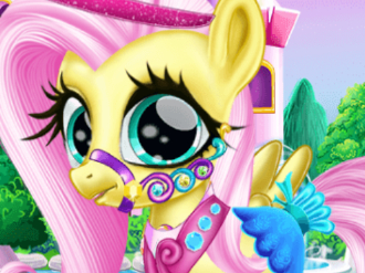 Little Pony caretaker