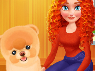 Merida Pet Care Saloon