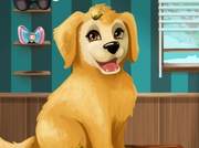 Become a puppy groomer