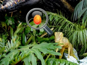 Dinosaurs World Hidden Eggs Part IV