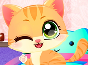 Kitty Fun Care