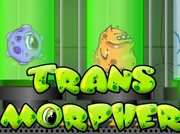 Transmorpher 1