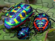 Disgusting Bugs