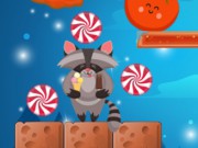 Raccoon Sweet Rush